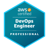 Professional DevOps Engineer