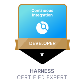 Continuous Integration Developer
