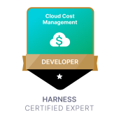 Cloud Cost Management Developer